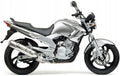 NAKLEJKI NA MOTOCYKL JUULA DO YAMAHA YBR 250 2007-2009 SREBRNY 3 S3