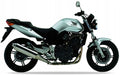 Naklejki na motocykl Honda Cbf 600 N 2004-2006 Srebrny Nha48 - Juula