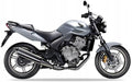Naklejki na motocykl Honda Cbf 600 N 2007-2009 Srebrny Nha48 - Juula