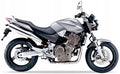 Naklejki na motocykl Honda Cb 900 F Hornet 2002-2003 Iron Nail Srebrny - Juula