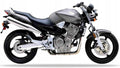Naklejki na motocykl Honda Cb 900 F Hornet 2000-2005 Ciemny Szary Chrom - Juula