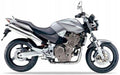 Naklejki na motocykl Honda Cb 600 F Hornet 2002-2004 Srebrny Mat Nh381 - Juula