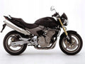 Naklejki na motocykl Honda Hornet Pc-36 - Juula