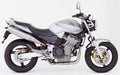 Naklejki na motocykl Honda Cb 900 Hornet 2005 Srebrny - Juula