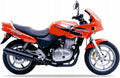 Naklejki na motocykl Honda Cb 500 S 1998-1999 Czerwony R218 - Juula
