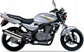NAKLEJKI JUULA NA MOTOCYKL DO KAWASAKI ER 5 2003-2004 SREBRNY TYP 2 474