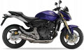 NAKLEJKI JUULA NA MOTOCYKL DO HONDA CB 600 F HORNET 2007 NIEBIESKI PB324