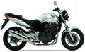 Naklejki na motocykl Honda Cbf 600 N 2004-2006 Srebrny Nh411 - Juula