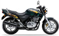 Naklejki na motocykl Honda Cb 500 1996-1997 Zielony G142 - Juula