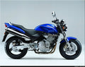 Naklejki na motocykl Honda Cb-600 Hornet 1999 Niebieski - Juula