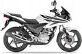 Naklejki na motocykl Honda Cbf 125 2009-2012 Biały Nhb16 - Juula