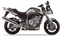 NAKLEJKI NA MOTOCYKL JUULA DO YAMAHA FZS 1000 FAZER 2002-2004 SREBRNY 3