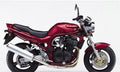NAKLEJKI SUZUKI GSF-600-N- BANDIT 1995