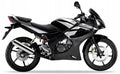 Naklejki na motocykl Honda Cbr 125 R 2009-2010 Srebrno Czarny Nhb01 - Juula