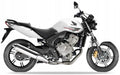 Naklejki na motocykl Honda Cbf 600 N 2010 Biały Nha16 - Juula