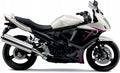 NAKLEJKI NA MOTOCYKL JUULA DO SUZUKI GSX 650 F 2010-2011 BIAŁY CZARNY GHK
