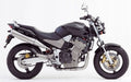 Naklejki na motocykl Honda Cb 900F Hornet 2002-2007 - Juula