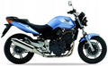Naklejki na motocykl Honda Cbf 600 N 2004-2006 Niebieski Pb342 - Juula