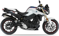 BMW F 800 R 2017 Bialy stickers decals autocollants restoration kit juula motocolors