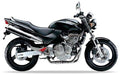 Honda Cb 600 F Hornet 1998 2001 Czarny NH1 replica decals set aufkleber fuel tank juula motocolors