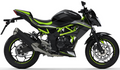 Kawasaki Z 125 2021 Czarny 739 Metaliczny Czarny 660 replica decals autocollants bodywork juula motocolors