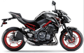 Kawasaki Z 900 2019 Szary 25X motorcycle stickers set adesivi fairings juula motocolors