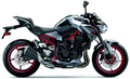 Kawasaki Z 900 2023 Srebrny Grafitowy GU 51A vinyl decals adesivi racebike juula motocolors