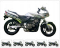 Naklejki na motocykl Honda Cb 600 S Hornet Usa 2000-2003 Srebrny - Juula