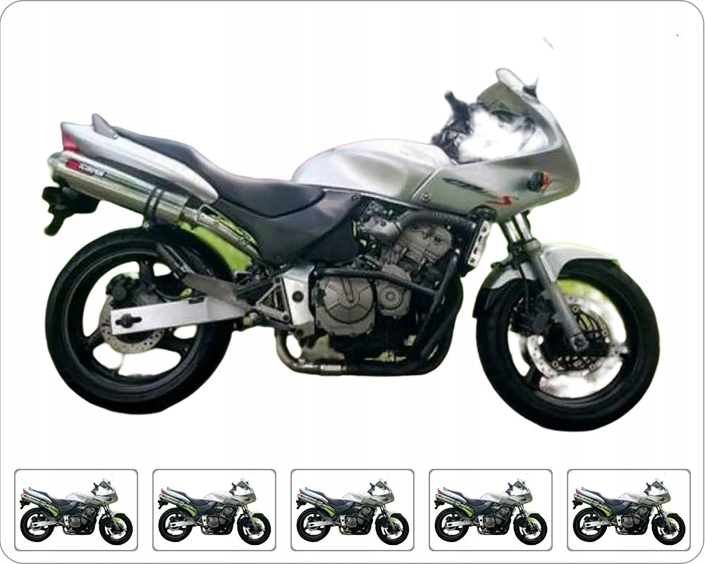 Naklejki na motocykl Honda Cb 600 S Hornet Usa 2000-2003 Srebrny - Juula