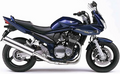 Suzuki Gsf 1200 s Bandit 2006 Niebieski Ykz vinyl decals adesivi racebike juula motocolors