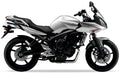 Yamaha Fz6 S Fazer 2008 2009 Srebrny Metaliczny SM1 replica decals autocollants bodywork juula motocolors