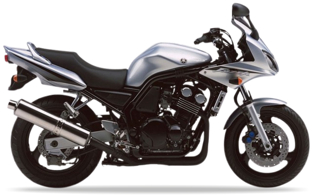 Yamaha Fzs 600 Fazer 2003 Srebrny 1 stickers decals adesivi aftermarket replicas juula motocolors
