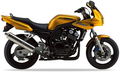 Yamaha Fzs 600 Fazer 1998 1999 Zolty vinyl kit decals pegatinas restoration juula motocolors