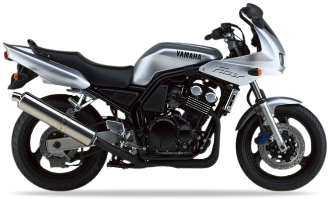 Yamaha Fzs 600 Fazer 2000 2001 Srebrny 1 custom autocollants fuel tank juula motocolors