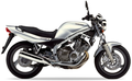 Yamaha Xj 600 N 1996 2001 Srebrny 1 replica decals grafiche fuel tank juula motocolors