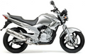 Yamaha Ybr 250 2007 2009 Srebrny 3 S3 bike stickers aufkleber side panels juula motocolors