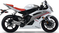 Yamaha Yzf R6 2009 Biały Szary Rj15 oem replica stickers decals grafiche juula motocolors