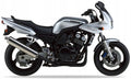 NAKLEJKI JUULA NA MOTOCYKL DO YAMAHA FZS 600 FAZER 2000-2001 SREBRNY 1
