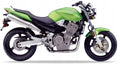 Naklejki na motocykl Honda Cb 919 F Hornet Us 2002-2007 Zielony - Juula