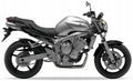 NAKLEJKI NA MOTOCYKL JUULA DO YAMAHA FZ6 N 2004-2005 SREBRNY S