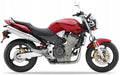 Naklejki na motocykl Honda Cb 900 F Hornet Us 2002-2007 Candy Glory Czerwony - Juula