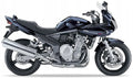 NAKLEJKI NA MOTOCYKL JUULA DO SUZUKI GSF 650 S BANDIT 2007 NIEBIESKI METALIK YLE