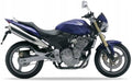 Naklejki na motocykl Honda Cb 600 F Hornet 2005-2006 Niebieski B341 - Juula