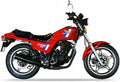 Naklejki na motocykl Honda Ft 500 1983 Czerwony R110 - Juula