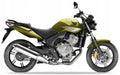 Naklejki na motocykl Honda Cbf 600 N 2010 Zielony Gy139 - Juula