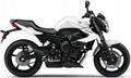 NAKLEJKI NA MOTOCYKL JUULA DO YAMAHA XJ 6 N 2011-2012 BIAŁY 1 BWC1