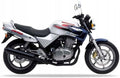 Naklejki na motocykl Honda CB 500 1998-1999 srebrny NH146H - Juula